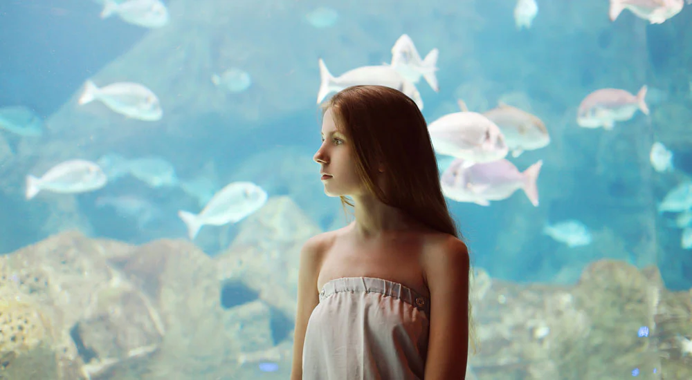 Aquariums are good for the soul