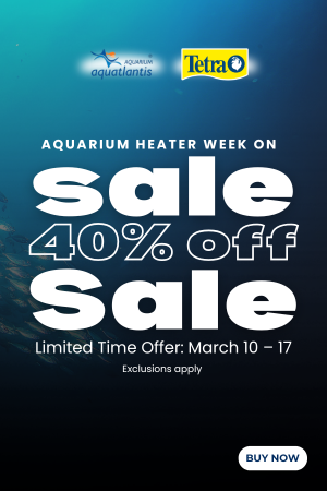 PAN-Web-banner-mob (300 x 450 px)