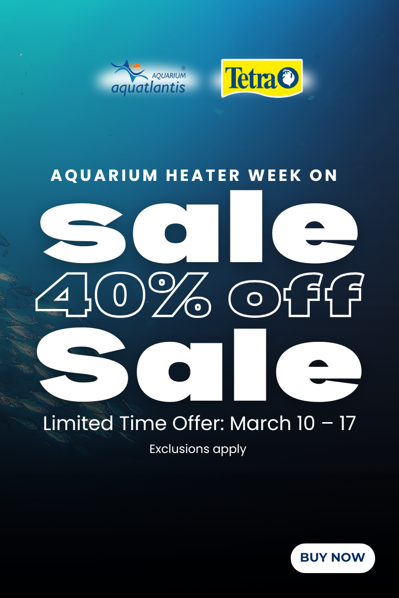 PAN-Web-banner-mob (800 x 1200 px)